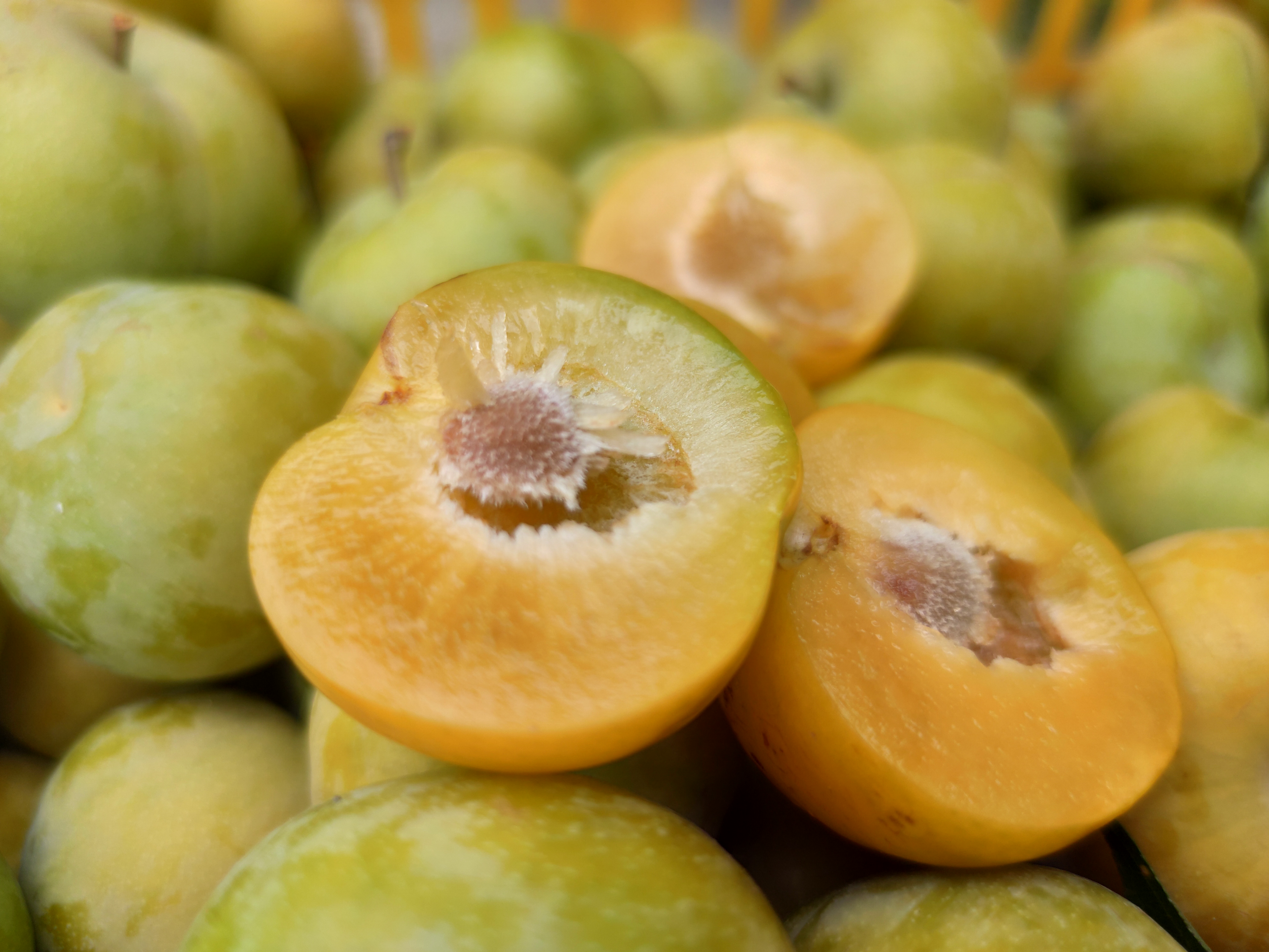 《贵在有理》再启"黄金十年"征程:蜂糖李的品牌经济学 - 蜂糖李鲜果