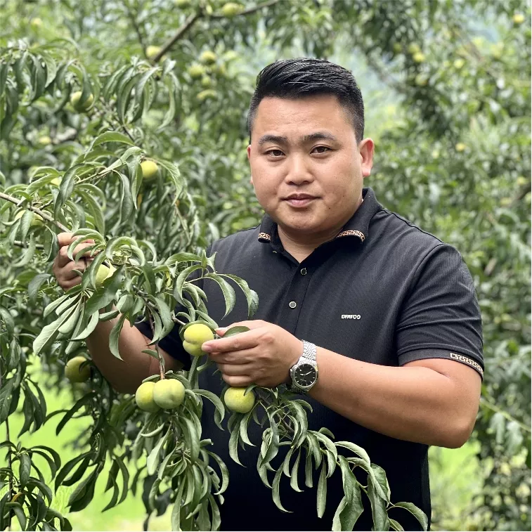 王荣刚